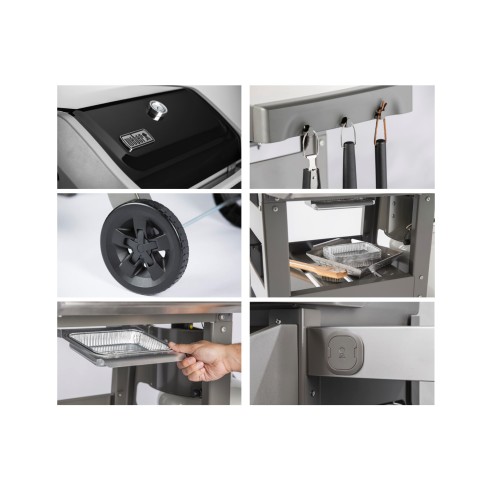 Barbecue-a-gas-Weber-Spirit-II-E-210-GBS