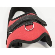 Pettorina-per-cani-professional