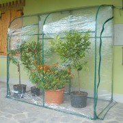 Serra da giardino e terrazzo Verdemax Oleander L200xP100xH210 cm