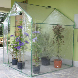 Serra da giardino Verdemax Clematis L155xP155xH205cm