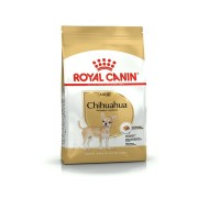 Royal Canin Chihuahua Adult alimento secco cane