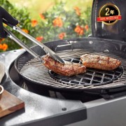 Griglia-rosolatura-Gourmet-Weber-8834