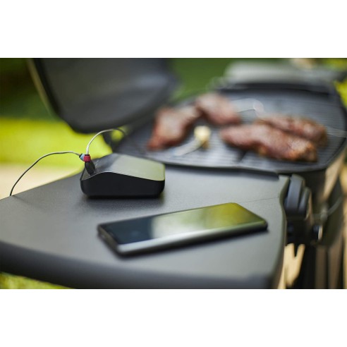 Connect-Smart-Grilling-Hub-Weber-3202