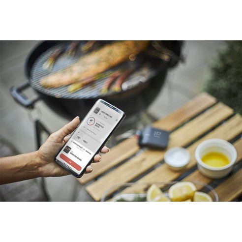 Connect-Smart-Grilling-Hub-Weber-3202