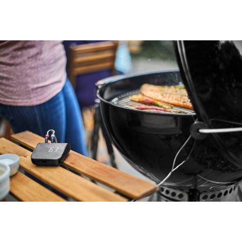 Connect-Smart-Grilling-Hub-Weber-3202