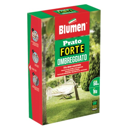 Sementi-Blumen-Prato-Forte-Ombreggiato