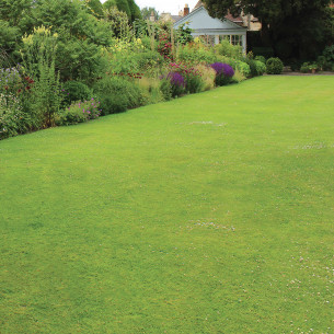 Concime granulare minerale semplice muschiostop 1500 g Flortis 2