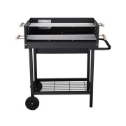 Barbecue a carbone Party Grill