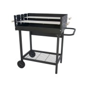 Barbecue a carbone Party Grill
