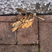 Erbicida totale concentrato Diserbosan 500ml