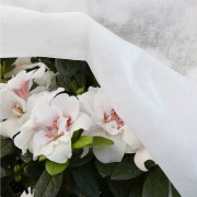 Tessuto TNT bianco 2,4x10m Verdelook