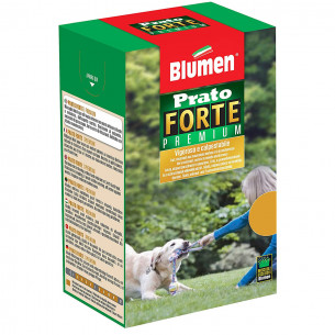 Sementi Prato Forte Premium Blumen