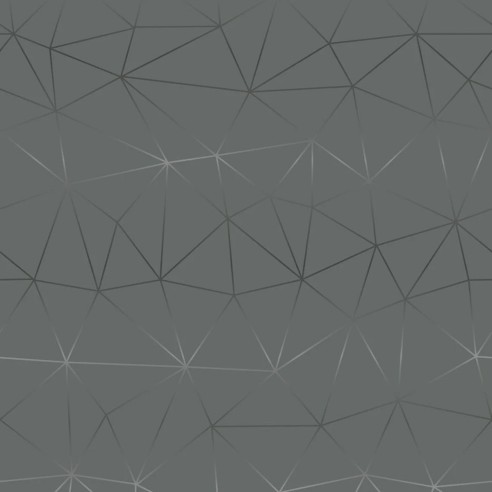 Pellicola adesiva per mobili in vinile Tico Silver 45cmx2m D-c-fix