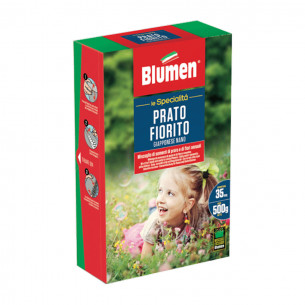 Sementi Prato Fiorito Giapponese nano Blumen