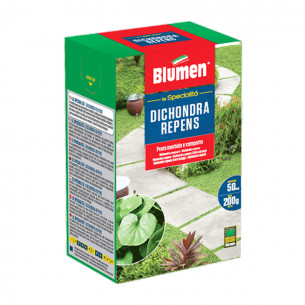 Sementi prato Dichondra Repens Blumen