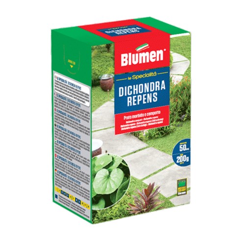 Sementi prato Dichondra Repens Blumen