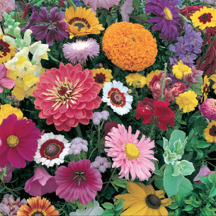 Concime-liquido-piante-fiorite-1150g 2