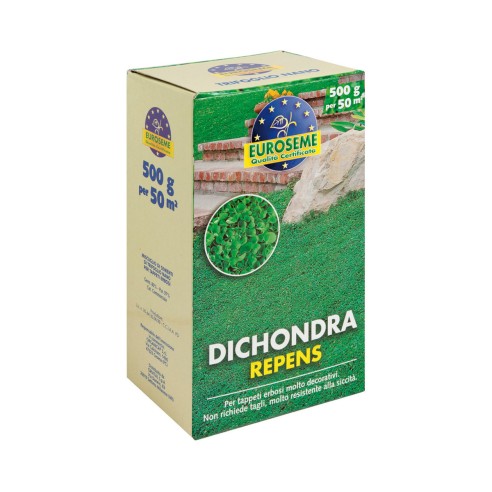 Sementi prato Dichondra 500g