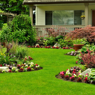 Concime Universale granulare 1kg Flortis 2