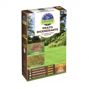 Semi prato Euroseme rigenerante 1kg