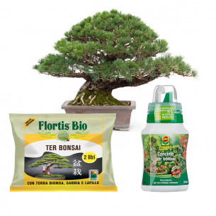 Set concimazione cura Bonsai 2 in 1 2