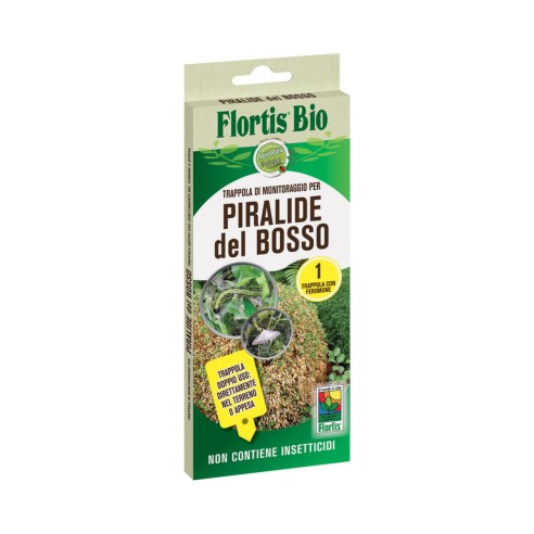 Trappola di monitoraggio per Piralide del bosso