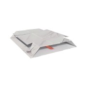 Trappola pesciolini argento 2pz Flortis