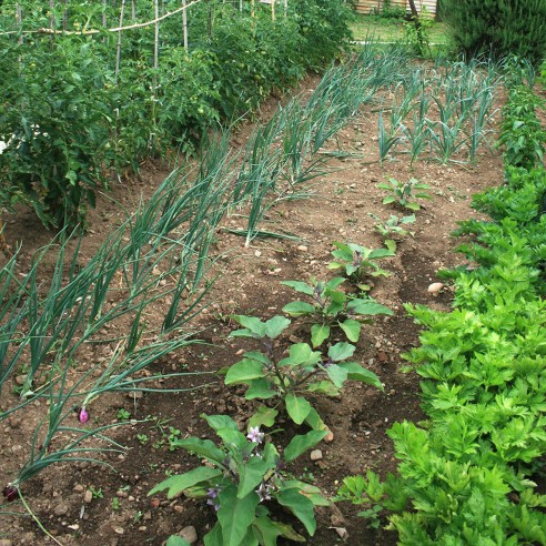 Concime neem in polvere 800g