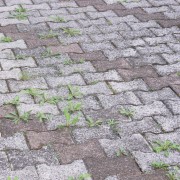 acido-acetico-concentrato-bio-flortis-diserbante-naturale