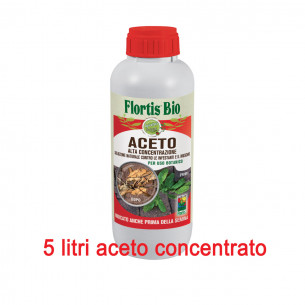 diserbante aceto liquido concentrato 1L