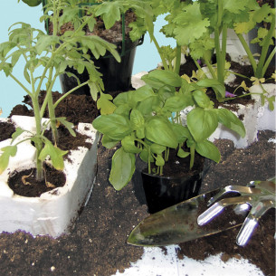 Preparato specifico per favorire la radicazione delle piante 500ml 2