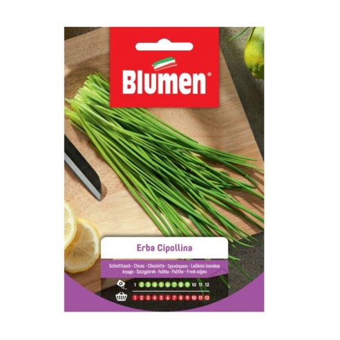 Seme per orto Erba Cipollina Blumen