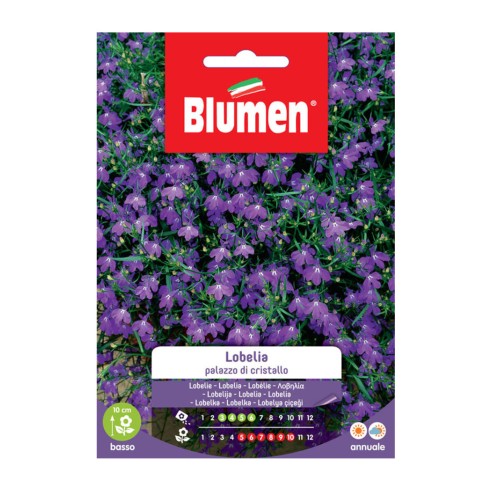 Semi per giardino fiore Lobelia Blumen