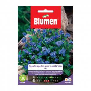 Semi per giardino fiore Non ti scordar di me Blumen