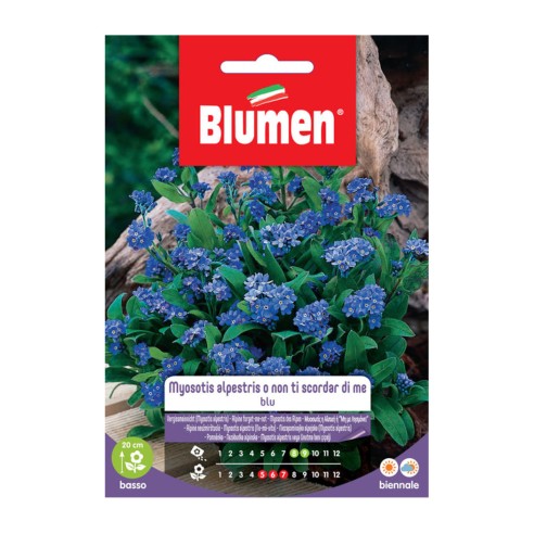 Semi per giardino fiore Non ti scordar di me Blumen