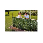 Siepe Verdecor a foglie tipo lauro Verdemax