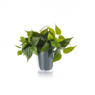 Pianta decorativa accessorio per lampadario Plant