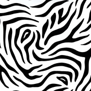 Pellicola adesiva per mobili in vinile Zebra 45cmx2m D-c-fix