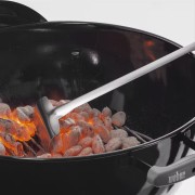 Bricchetti di carbone Weber