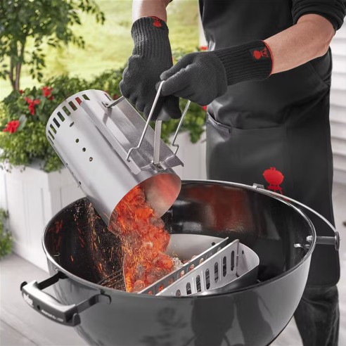 Bricchetti di carbone Weber