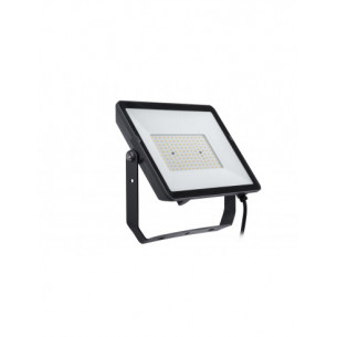 Proiettore Faretto LED 100 W LED Nero 4000 K 9500 lm Philips