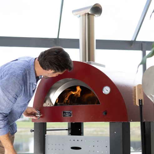 Forno a legna 2 pizze Moderno grigio...