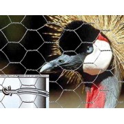 Rete-metallica-Verdemax-maglia-esagonale-rotolo-05x10m-9070