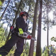 Motosega a batteria 36V Energy Flex Al-Ko CS 4030