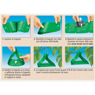 Bio trappola ferormoni susine-prugne 2pz 2