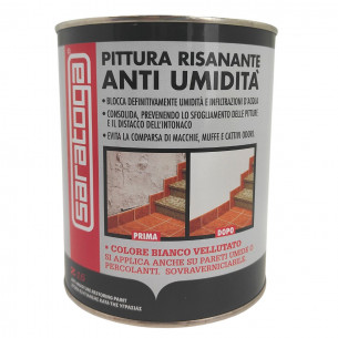 Pittura risanante anti umidità Z15  750 ml Saratoga