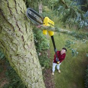 Potatore a batteria 18V Stanley Fatmax V20 SFMCPS620B-XJ