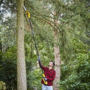 Potatore a batteria 18V Stanley Fatmax V20 SFMCPS620B-XJ