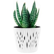 Sandy portavaso da interno per piante e fiori con inserto Properplast bianco