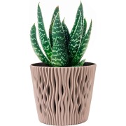 Sandy portavaso da interno per piante e fiori con inserto Properplast mocca